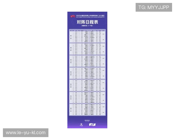 青年联赛最新战况：新星崛起，赛季进程引发热议